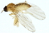  ( - 08BBDIP-2765)  @12 [ ] CreativeCommons - Attribution (2010) Unspecified Centre for Biodiversity Genomics