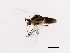  ( - 08BBDIP-2785)  @13 [ ] CreativeCommons - Attribution (2010) CBG Photography Group Centre for Biodiversity Genomics