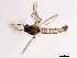  ( - 08BBDIP-2630)  @12 [ ] CreativeCommons - Attribution (2010) CBG Photography Group Centre for Biodiversity Genomics