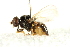  ( - BIOUG01786-C12)  @12 [ ] CreativeCommons - Attribution (2012) CBG Photography Group Centre for Biodiversity Genomics