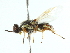  ( - BIOUG01786-F09)  @12 [ ] CreativeCommons - Attribution (2012) CBG Photography Group Centre for Biodiversity Genomics