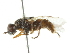  ( - BIOUG01786-F12)  @12 [ ] CreativeCommons - Attribution (2012) CBG Photography Group Centre for Biodiversity Genomics