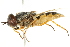  ( - BIOUG01786-H08)  @11 [ ] CreativeCommons - Attribution (2012) CBG Photography Group Centre for Biodiversity Genomics