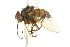  ( - BIOUG01806-D12)  @14 [ ] CreativeCommons - Attribution (2012) CBG Photography Group Centre for Biodiversity Genomics