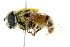  ( - BIOUG01788-F12)  @14 [ ] CreativeCommons - Attribution (2012) CBG Photography Group Centre for Biodiversity Genomics