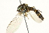  ( - BIOUG01788-H04)  @12 [ ] CreativeCommons - Attribution (2012) CBG Photography Group Centre for Biodiversity Genomics