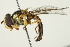  ( - BIOUG01789-B08)  @14 [ ] CreativeCommons - Attribution (2012) CBG Photography Group Centre for Biodiversity Genomics