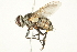  ( - BIOUG01808-A07)  @14 [ ] CreativeCommons - Attribution (2012) CBG Photography Group Centre for Biodiversity Genomics
