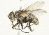  ( - BIOUG01808-A09)  @13 [ ] CreativeCommons - Attribution (2012) CBG Photography Group Centre for Biodiversity Genomics