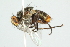  ( - BIOUG01808-H10)  @14 [ ] CreativeCommons - Attribution (2012) CBG Photography Group Centre for Biodiversity Genomics