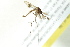  ( - BIOUG01818-B01)  @12 [ ] CreativeCommons - Attribution (2012) CBG Photography Group Centre for Biodiversity Genomics