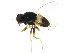  ( - BIOUG01835-H06)  @13 [ ] CreativeCommons - Attribution (2012) CBG Photography Group Centre for Biodiversity Genomics