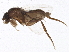  ( - BIOUG02572-A09)  @13 [ ] CreativeCommons - Attribution (2013) CBG Photography Group Centre for Biodiversity Genomics