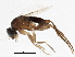  ( - BIOUG02572-B03)  @12 [ ] CreativeCommons - Attribution (2013) CBG Photography Group Centre for Biodiversity Genomics