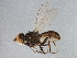  ( - BIOUG02272-F08)  @11 [ ] CreativeCommons - Attribution (2012) CBG Photography Group Centre for Biodiversity Genomics