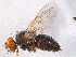  ( - BIOUG02763-F11)  @13 [ ] CreativeCommons - Attribution (2012) CBG Photography Group Centre for Biodiversity Genomics