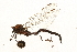  ( - 09BBEOD-0057)  @14 [ ] CreativeCommons - Attribution (2010) Unspecified Centre for Biodiversity Genomics