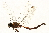  ( - 09BBEOD-0143)  @13 [ ] CreativeCommons - Attribution (2010) Unspecified Centre for Biodiversity Genomics