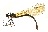  ( - 09BBEOD-0153)  @11 [ ] CreativeCommons - Attribution (2010) Unspecified Centre for Biodiversity Genomics