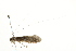  ( - BIOUG00838-B04)  @13 [ ] CreativeCommons - Attribution (2011) CBG Photography Group Centre for Biodiversity Genomics