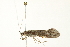  ( - BIOUG00838-E08)  @13 [ ] CreativeCommons - Attribution (2011) CBG Photography Group Centre for Biodiversity Genomics
