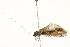  ( - BIOUG00838-H01)  @13 [ ] CreativeCommons - Attribution (2011) CBG Photography Group Centre for Biodiversity Genomics