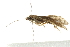  ( - BIOUG00841-F05)  @14 [ ] CreativeCommons - Attribution (2011) CBG Photography Group Centre for Biodiversity Genomics