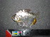  ( - UMSS 11019)  @14 [ ] Copyright (2011) F.M. Carvajal-Vallejos FAUNAGUA