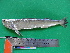  ( - UMSS 11363)  @14 [ ] Copyright (2011) F.M. Carvajal-Vallejos FAUNAGUA