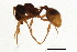 ( - 09BBEFO-0098)  @13 [ ] CreativeCommons - Attribution (2010) Unspecified Centre for Biodiversity Genomics