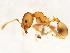  ( - 10BBUFO-0127)  @13 [ ] CreativeCommons - Attribution (2010) CBG Photography Group Centre for Biodiversity Genomics