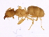  ( - 10BBCFO-0181)  @14 [ ] CreativeCommons - Attribution (2010) CBG Photography Group Centre for Biodiversity Genomics