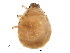  ( - BIOUG01080-H04)  @13 [ ] CreativeCommons - Attribution (2011) CBG Photography Group Centre for Biodiversity Genomics