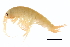  ( - BIOUG17846-F11)  @13 [ ] CreativeCommons - Attribution (2015) CBG Photography Group Centre for Biodiversity Genomics