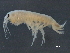  ( - BIOUG17846-G06)  @11 [ ] CreativeCommons - Attribution (2015) CBG Photography Group Centre for Biodiversity Genomics