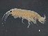  ( - BIOUG17846-G07)  @11 [ ] CreativeCommons - Attribution (2015) CBG Photography Group Centre for Biodiversity Genomics