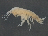  ( - BIOUG17846-G08)  @13 [ ] CreativeCommons - Attribution (2015) CBG Photography Group Centre for Biodiversity Genomics