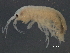  ( - BIOUG17846-G09)  @13 [ ] CreativeCommons - Attribution (2015) CBG Photography Group Centre for Biodiversity Genomics