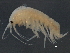  ( - BIOUG17846-G10)  @13 [ ] CreativeCommons - Attribution (2015) CBG Photography Group Centre for Biodiversity Genomics