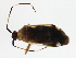  ( - 10BBCHEM-1194)  @14 [ ] CreativeCommons - Attribution (2011) CBG Photography Group Centre for Biodiversity Genomics
