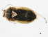  ( - 10BBCHEM-1195)  @13 [ ] CreativeCommons - Attribution (2011) CBG Photography Group Centre for Biodiversity Genomics