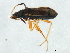  ( - 10BBCHEM-1228)  @13 [ ] CreativeCommons - Attribution (2011) CBG Photography Group Centre for Biodiversity Genomics
