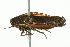  ( - 10BBCHEM-1325)  @14 [ ] CreativeCommons - Attribution (2010) CBG Photography Group Centre for Biodiversity Genomics