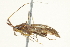  ( - 10BBCHEM-1398)  @12 [ ] CreativeCommons - Attribution (2010) CBG Photography Group Centre for Biodiversity Genomics