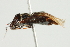  ( - 10BBCHEM-1405)  @13 [ ] CreativeCommons - Attribution (2010) CBG Photography Group Centre for Biodiversity Genomics