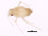  ( - PCPP10-0609)  @13 [ ] CreativeCommons - Attribution (2011) CBG Photography Group Centre for Biodiversity Genomics