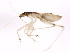  ( - PCPP10-0626)  @12 [ ] CreativeCommons - Attribution (2011) CBG Photography Group Centre for Biodiversity Genomics