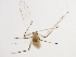  ( - 10BBCHEM-0044)  @13 [ ] CreativeCommons - Attribution (2010) CBG Photography Group Centre for Biodiversity Genomics