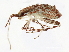  ( - 10BBCHEM-0152)  @13 [ ] CreativeCommons - Attribution (2010) CBG Photography Group Centre for Biodiversity Genomics