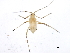  ( - 10BBCHEM-0233)  @12 [ ] CreativeCommons - Attribution (2010) CBG Photography Group Centre for Biodiversity Genomics